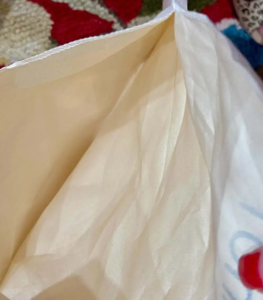 Louis Vuitton Small Fabric Dust Bag